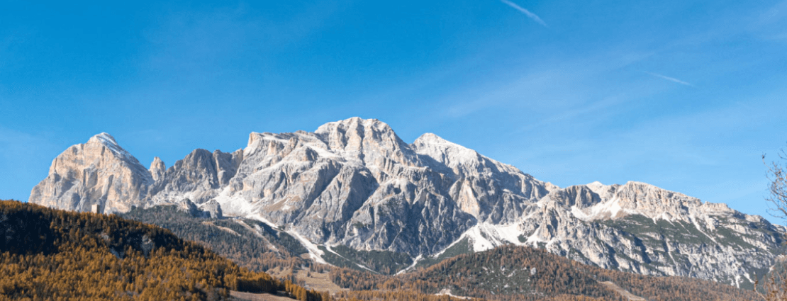 Blog Header (12).png