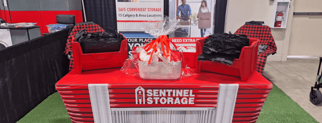 Blog Header (23).png