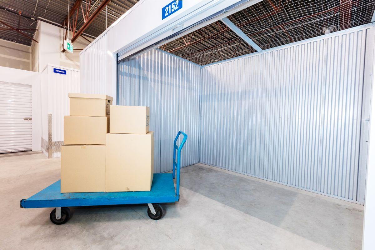 Carts & Dollies - Sentinel Storage - Victoria (Vancouver Island)