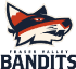 logo-FVBandits-FinalPrimary_sentinel.png