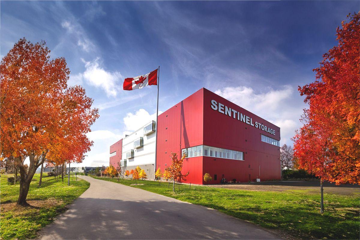 Sentinel_Fall_Hero-1200x800.jpg
